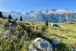 2023-07-08-Spik_Hude_police-03