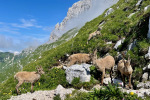 2023-07-08-Spik_Hude_police-11