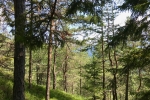 2018-08-04-11-Tabor_Podpeca-041