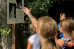 2018-08-04-11-Tabor_Podpeca-076