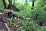 2017-05-13_poti_Dg-02