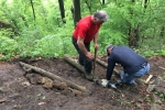 2017-05-13_poti_Dg-03