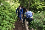 2017-05-13_poti_Dg-13