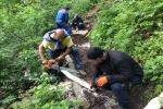 2017-05-13_poti_Dg-15
