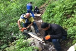 2017-05-13_poti_Dg-16