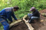 2017-05-13_poti_Dg-17