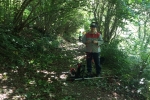 2017-06-11_poti_Dg-01