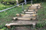 2017-06-11_poti_Dg-10
