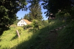 2017-06-11_poti_Dg-12
