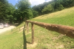2017-06-11_poti_Dg-20