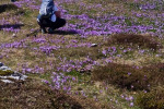 2024-04-13-Velika_planina-08