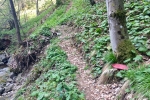 2017-04-22-Veliki_Travnik-01