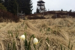 2017-04-22-Veliki_Travnik-14