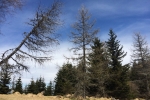 2017-04-22-Veliki_Travnik-17