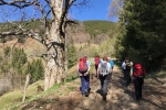 2017-05-06-Veliki_Travnik-Komen-02