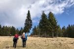 2017-05-06-Veliki_Travnik-Komen-11