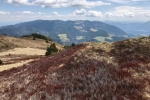 2017-05-06-Veliki_Travnik-Komen-25