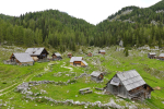 2025-09-06-Vogli-05