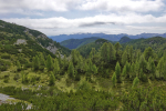 2025-09-06-Vogli-11