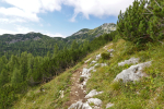 2025-09-06-Vogli-13