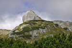 2025-09-06-Vogli-14