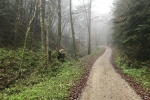 2019-11-23-Zavcarjev_vrh-01
