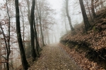 2019-11-23-Zavcarjev_vrh-03