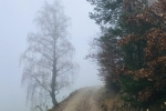 2019-11-23-Zavcarjev_vrh-04
