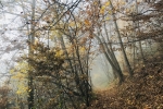 2019-11-23-Zavcarjev_vrh-07