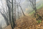 2019-11-23-Zavcarjev_vrh-08