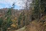2019-11-23-Zavcarjev_vrh-10