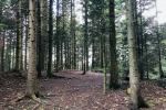 2019-11-23-Zavcarjev_vrh-14