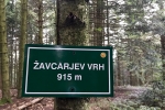 2019-11-23-Zavcarjev_vrh-15