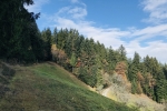2019-11-23-Zavcarjev_vrh-17