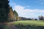 2019-11-23-Zavcarjev_vrh-19