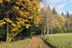2019-11-23-Zavcarjev_vrh-20