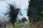 2019-11-23-Zavcarjev_vrh-21
