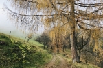 2019-11-23-Zavcarjev_vrh-23