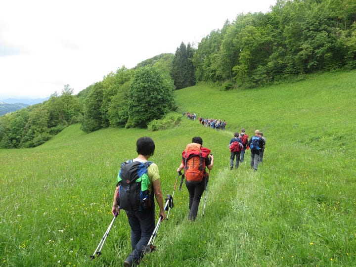 Srecanje_SMDO_2013-Bohor-Lisca