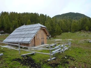 Planina Polšak in predvrh Križevnika v ozadju
