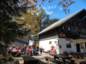 Kostanjev_piknik_2013