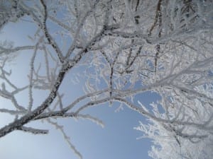 2014-02-08-Donacka_gora