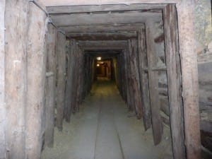 2014-04-16-Hleviska_planina_03