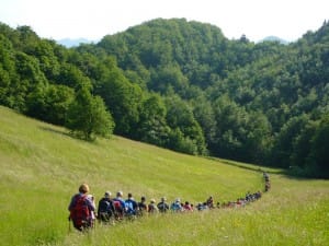 2014-06-07-Cesnjev_pohod