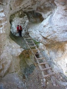 Pot skozi (dobesedno!) Stegovnik.