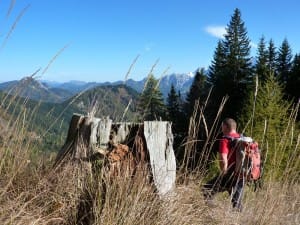 Jesen na Stegovniku.