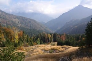 Stegovnik_2014-10-05