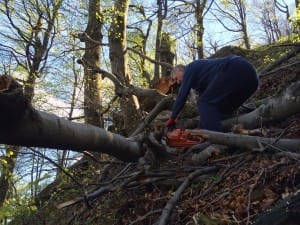 2015-04-18-Delovna_akcija