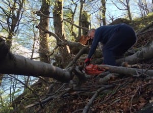 2016-04-17-Delovna_akcija-slika