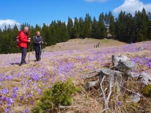 2016-04-16-Menina_planina